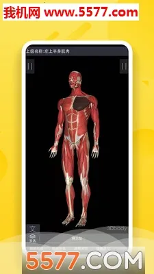 3Dbody����v8.8.91 �ֻ����ͼ