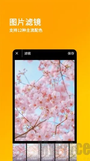 ˢ��Ȧ����