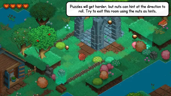 ��������2026�ٷ�����