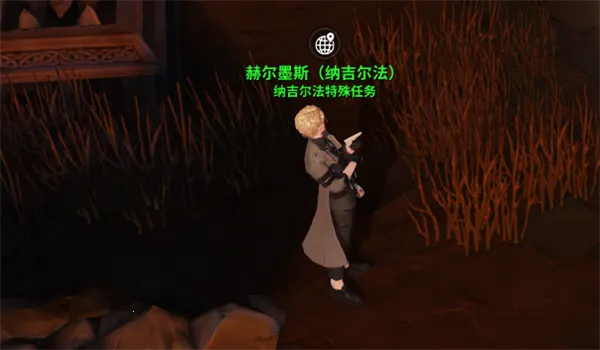 �������ξ�