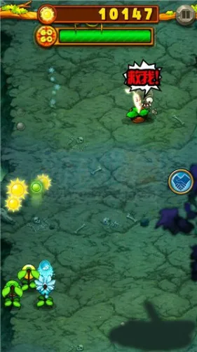 ֲ�ﱩ����ʬ