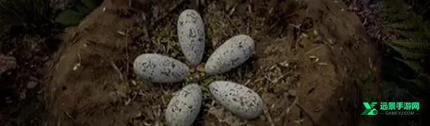 �������������