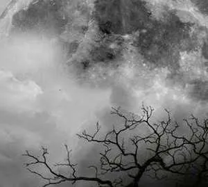 �����õ�2026�ٷ����°汾v1.0.0 ��׿��