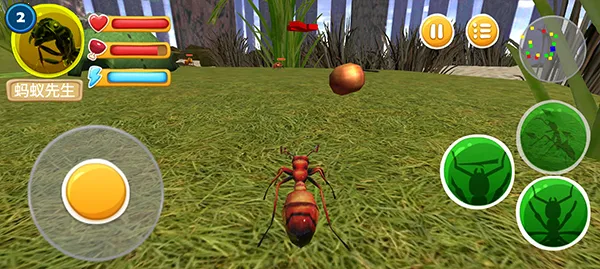 ���ϲ���