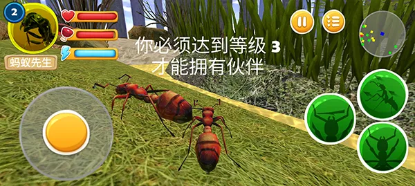 ���ϲ���