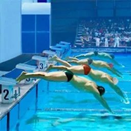 ģ����Ӿv1.0 ��Ѱ�