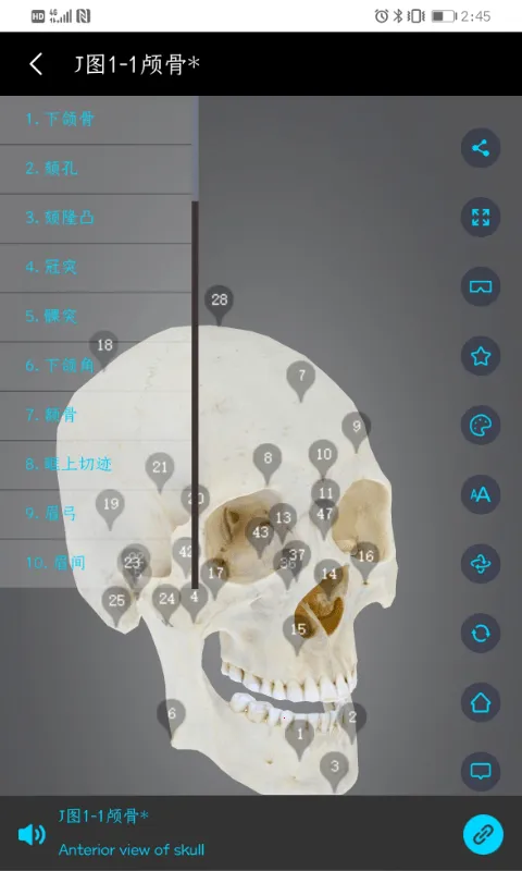 ҽά�Ƚ���v3.3.20 ��Ѱ��ͼ