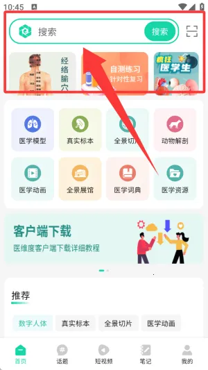 医维度解剖 医维度解剖
