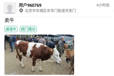 ���ţ2026���ذ�װ