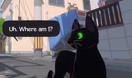 只是只小猫咪 只是只小猫咪