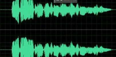 ������Ƶ����