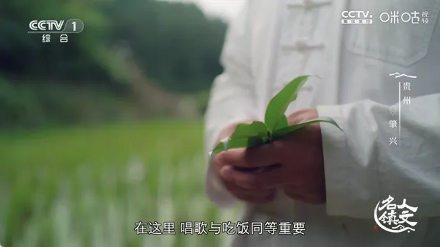 �䳲ֱ��TV����2026���ذ�װv6.6.9 �ֻ����ͼ