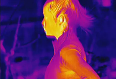 �����������2026�ٷ�����