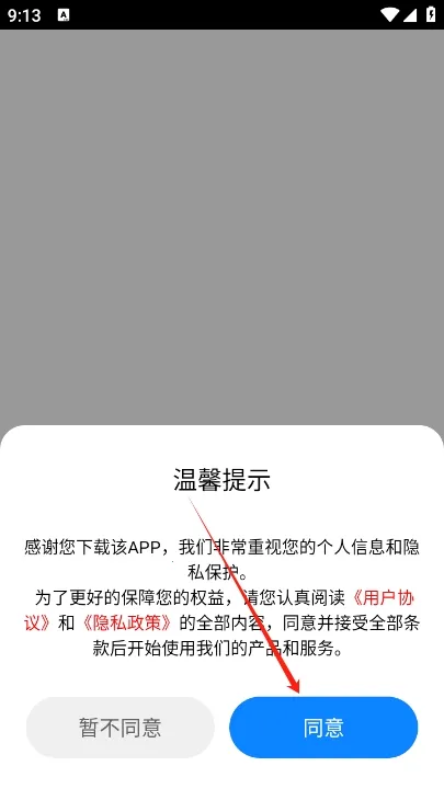 金属探测仪 金属探测仪