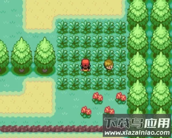 �ڴ�������Ҷ2026�ٷ����°汾v1.6.3 ��׿���ͼ