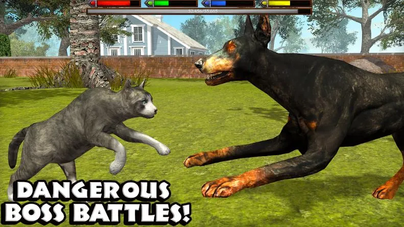 �ռ�èģ����v1.1 ��׿���ͼ