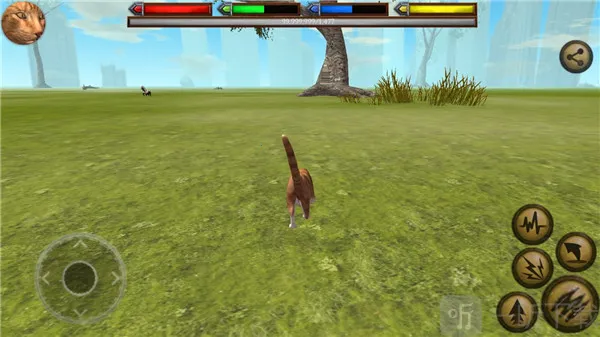 �ռ�èģ����