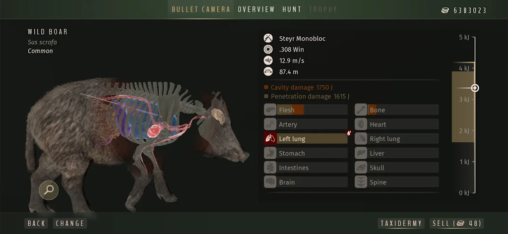 ����֮·����Ұŷ��2026���ذ�װv1.0.12 �ֻ����ͼ