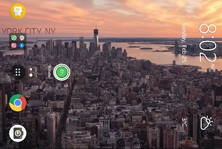 ������̬��ֽ2026�ٷ����°汾