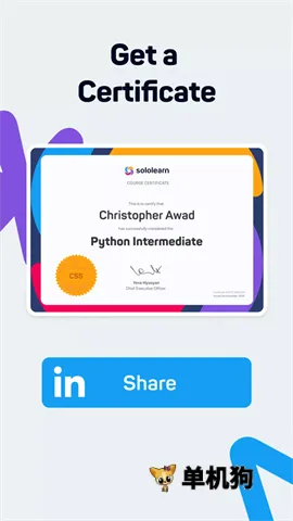 SoloLearn�����ֻ���