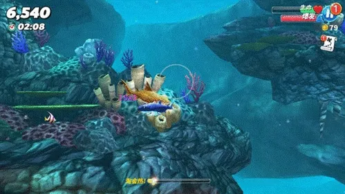 ���������������޸���