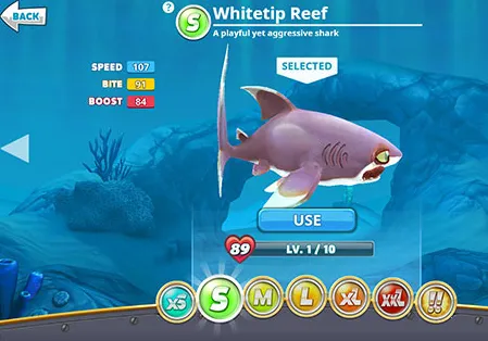 ���������������޸���