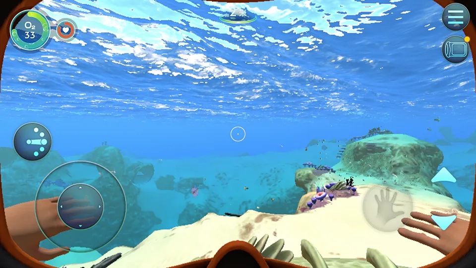 ��Ժ��ֻ������İ�����