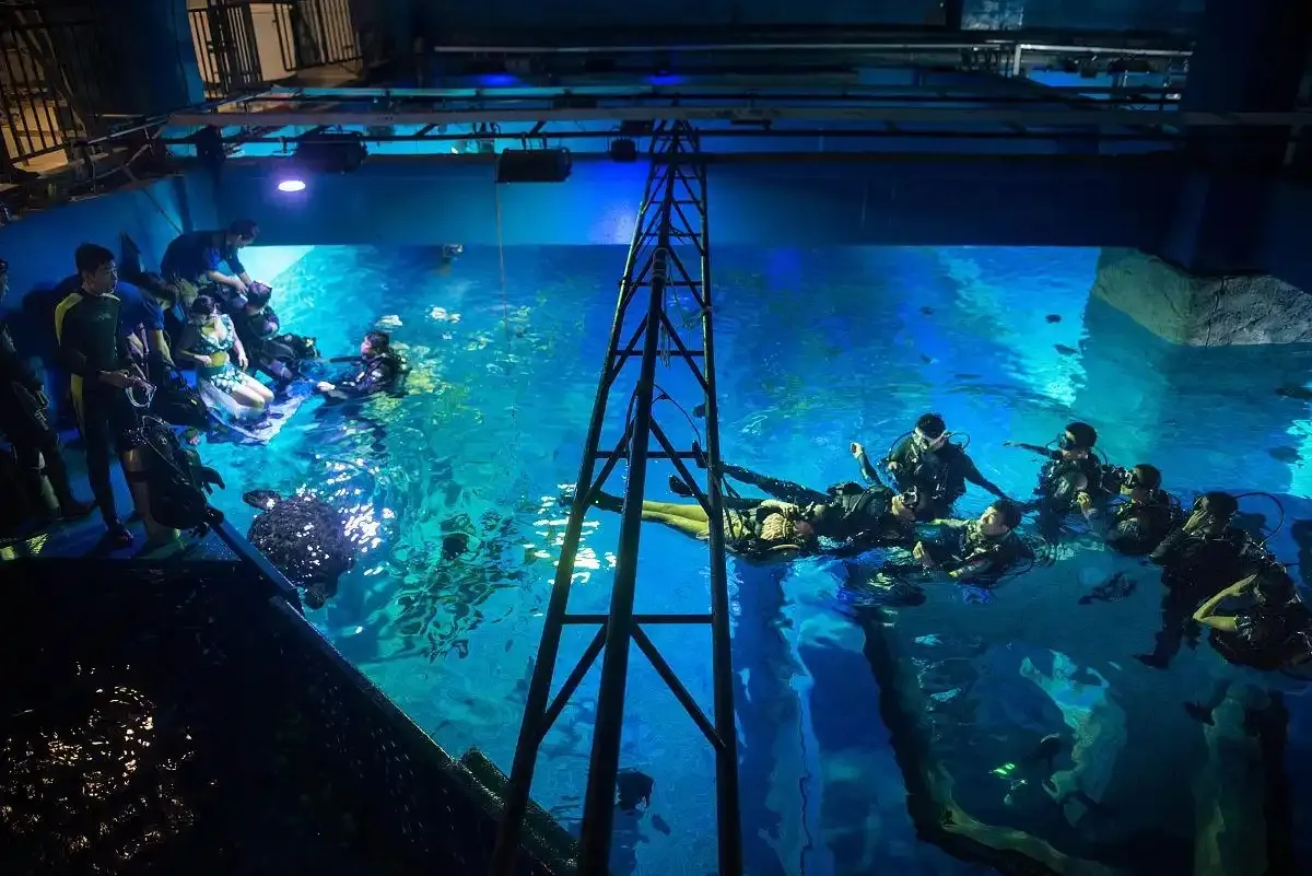 ��Ժ��ֻ������İ�����