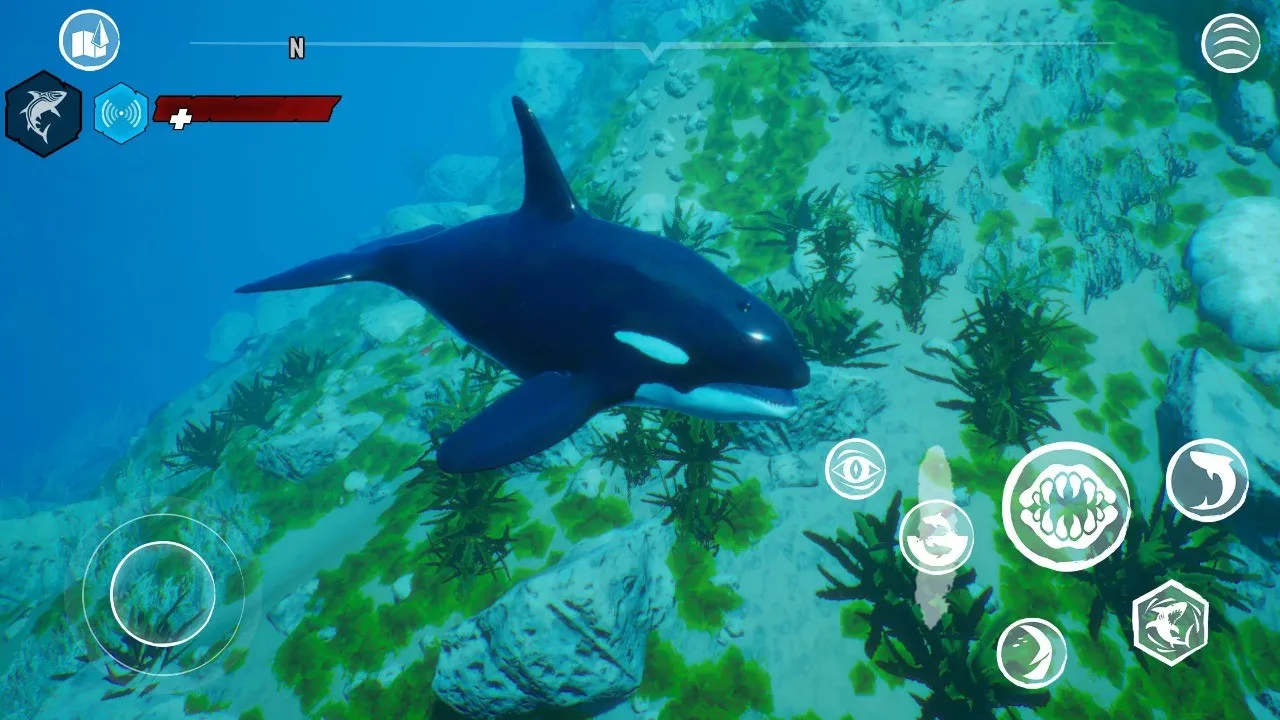 食人鲨正版免费手游下载 食人鲨正版免费手游下载