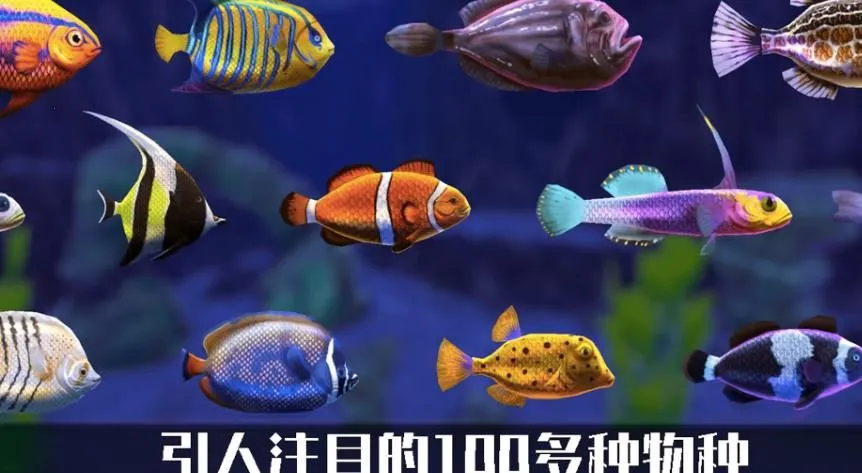 ����ˮ��(ģ�⾭Ӫˮ�����Ϸ)v1.0 �ٷ������ͼ