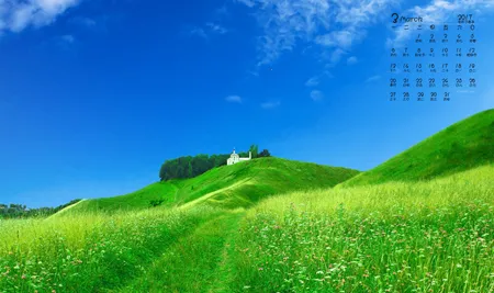 GO����������