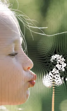 ��������ģ��2026�ٷ�����v0.981 �ֻ����ͼ