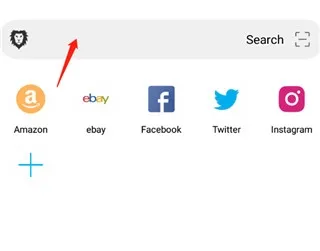 黑狮浏览器BL最新手机版 黑狮浏览器BL最新手机版