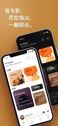 HiFier(音乐播放工具) HiFier(音乐播放工具)