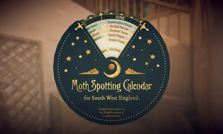 ��̹��ׯ԰(ֲ��������Ϸ)v1.0.2 �ֻ����ͼ