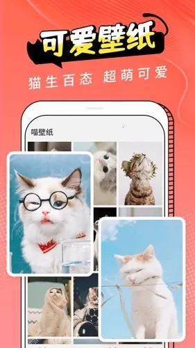 Cat Translation(è�﷭�빤��)v3.1.5 �ֻ����ͼ