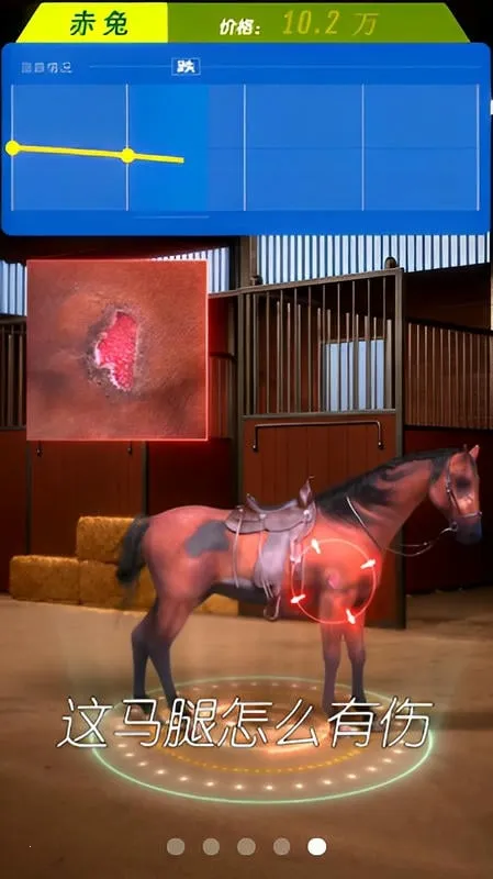 ����Ҳ������޽������