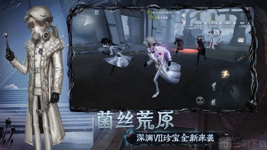 �Ƶ����˸�����2026�ٷ�����