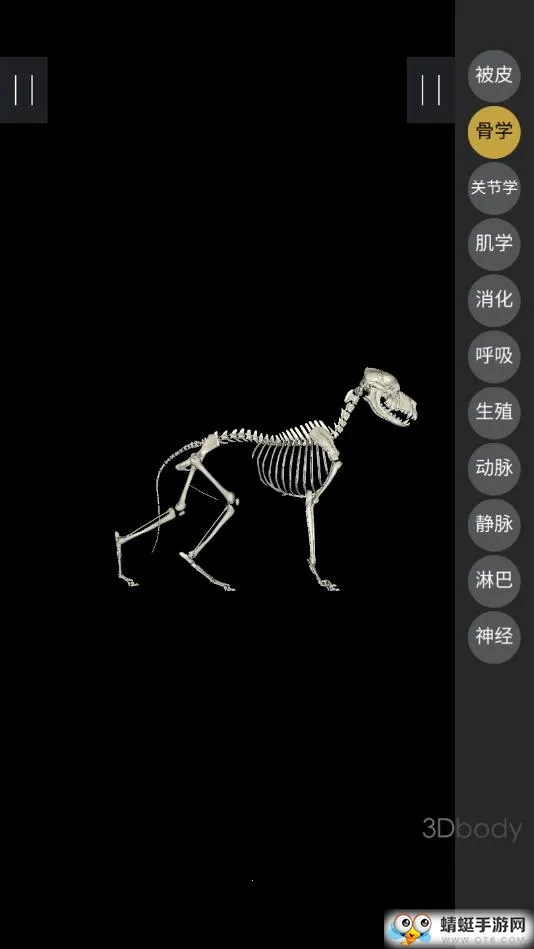 3dbody��������v8.8.91 ��Ѱ��ͼ