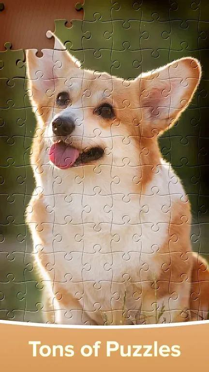 ƴͼ��Ϸ�󴳹�2026�ٷ����°汾v4.4.16 ��׿���ͼ