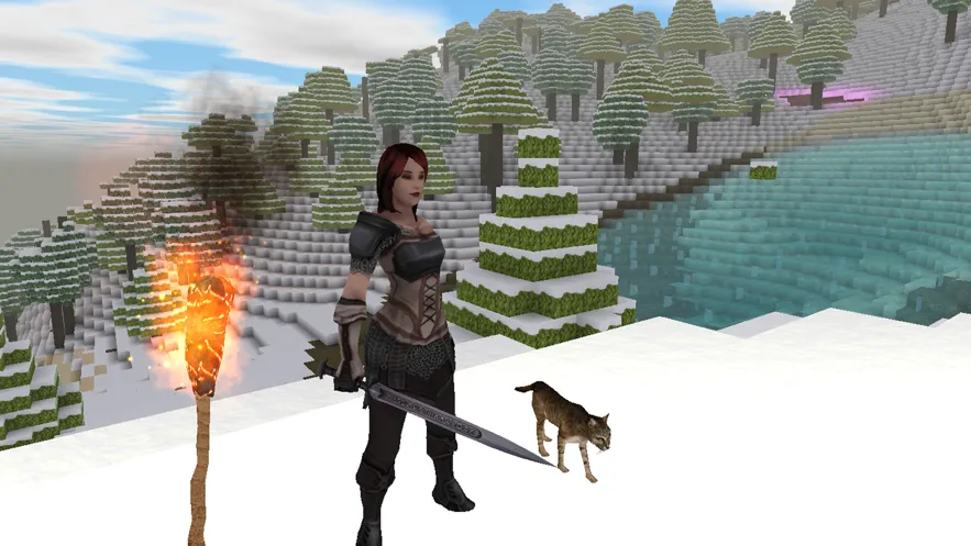 ������Ĺ���������ʯ���°�v13.0.8 ��Ѱ��ͼ