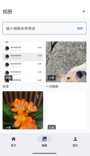 ���������(���������Ӧ��)