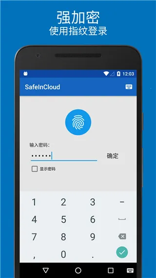 safeincloud 25.0.12