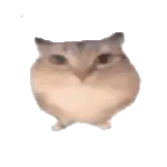 �ͰͲ�һ(δ�ἰ���Ĺ��ܵ�)v1.0 �ٷ�����