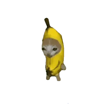 �ȱ����������ֻ���v1.0 ��׿��