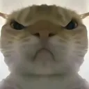 �������ж����󹤾������ֻ���v1.0 �ٷ�����