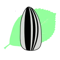 ����Ӱ�������ֻ���v1.0.0 ��׿��