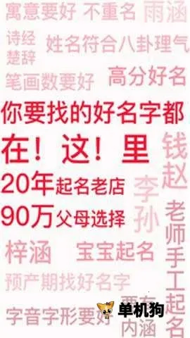 周易八字(起名服务软件) 周易八字(起名服务软件)