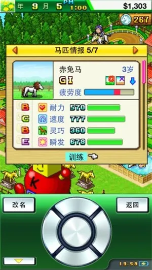 顶级跑马牧场999血统2026最新版本 顶级跑马牧场999血统2026最新版本