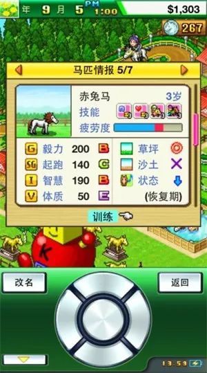 顶级跑马牧场999血统2026最新版本 顶级跑马牧场999血统2026最新版本